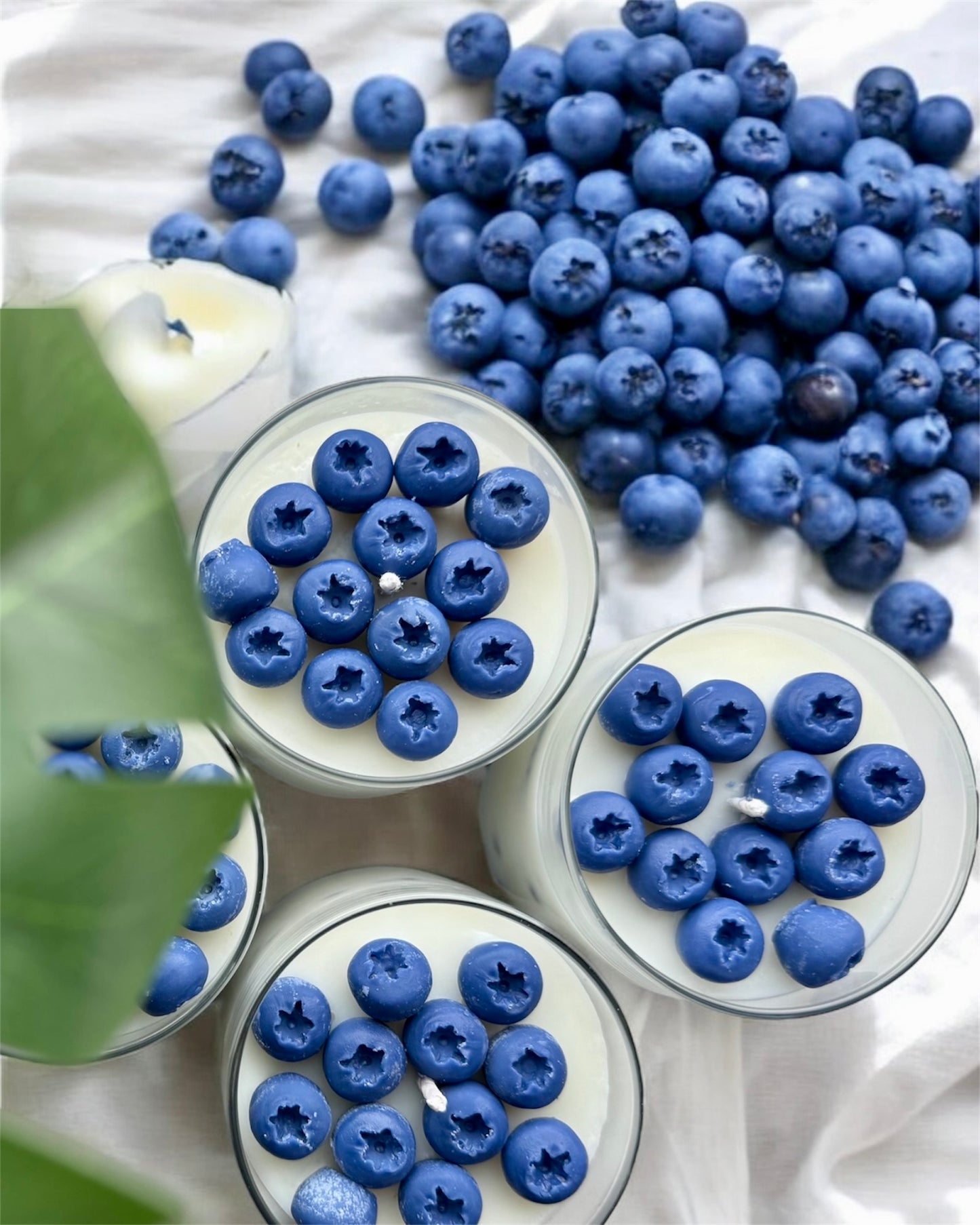 Blueberry Vanilla Scented Candle